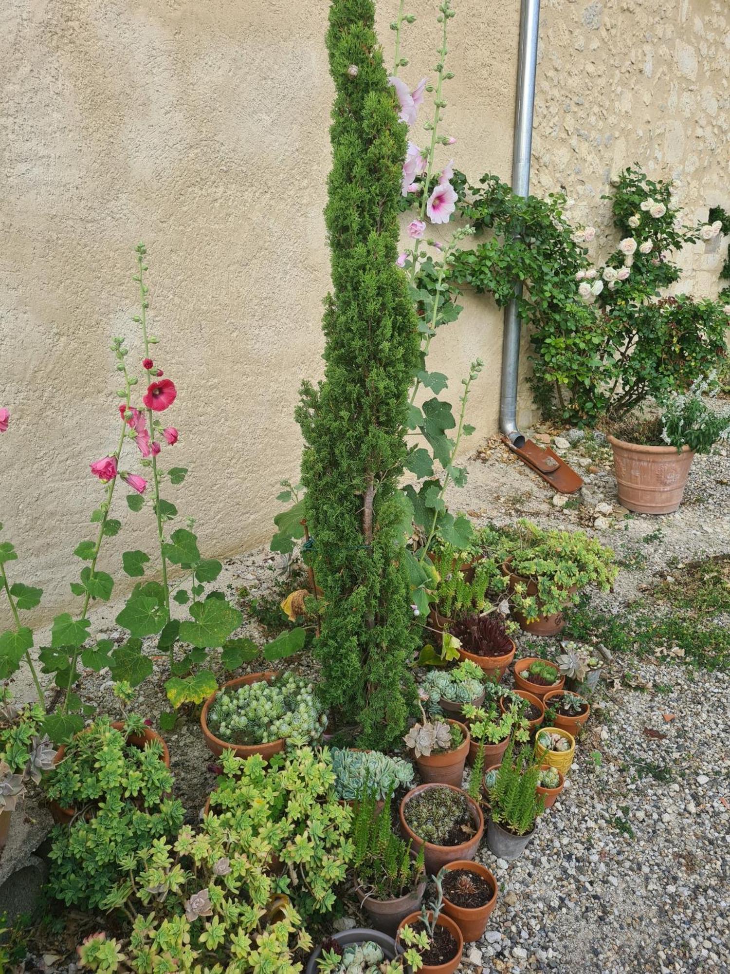 Apartment A La Campagne